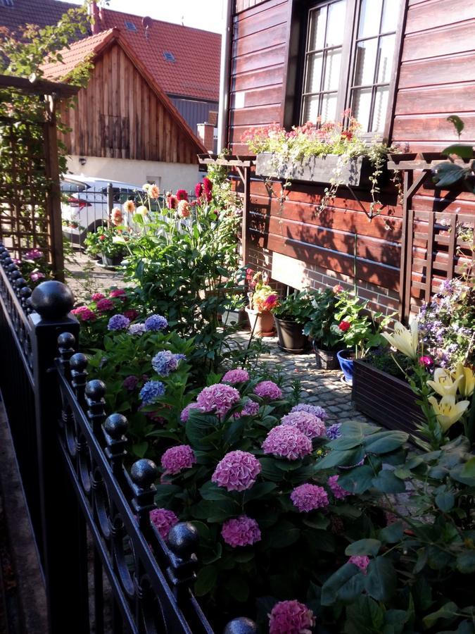 Fewo Carmen Apartman Wernigerode Kültér fotó